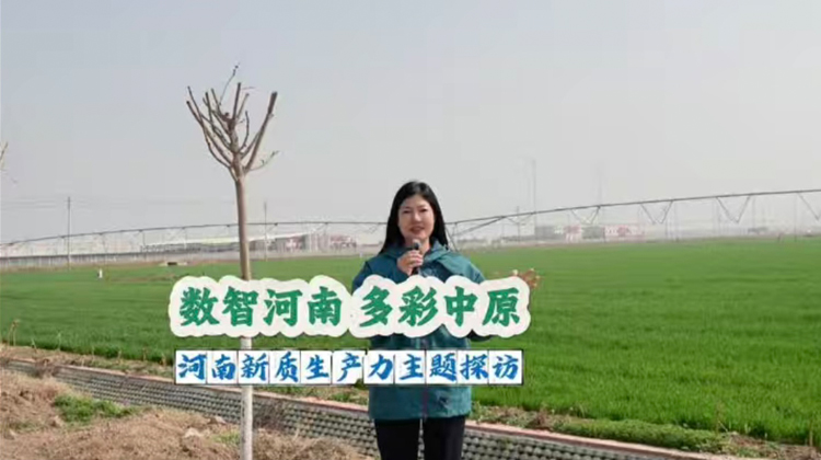 �����Ǻ��� �����ԭ���������|���a�����}̽�L